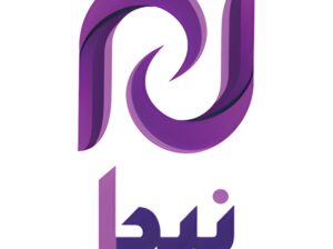 (Senior Back-End Developer (Django