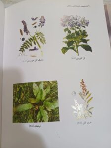 کتاب شیوه استفاده از گیاهان دارویی درمنزل