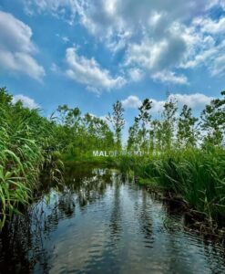 تکه ای از بهشت در زمین