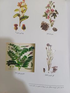 کتاب شیوه استفاده از گیاهان دارویی درمنزل
