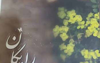 کتاب شیوه استفاده از گیاهان دارویی درمنزل