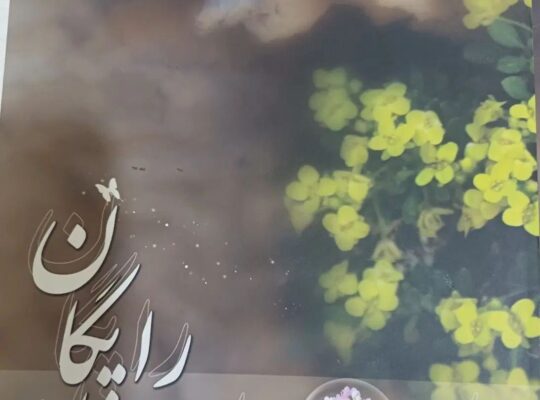 کتاب شیوه استفاده از گیاهان دارویی درمنزل