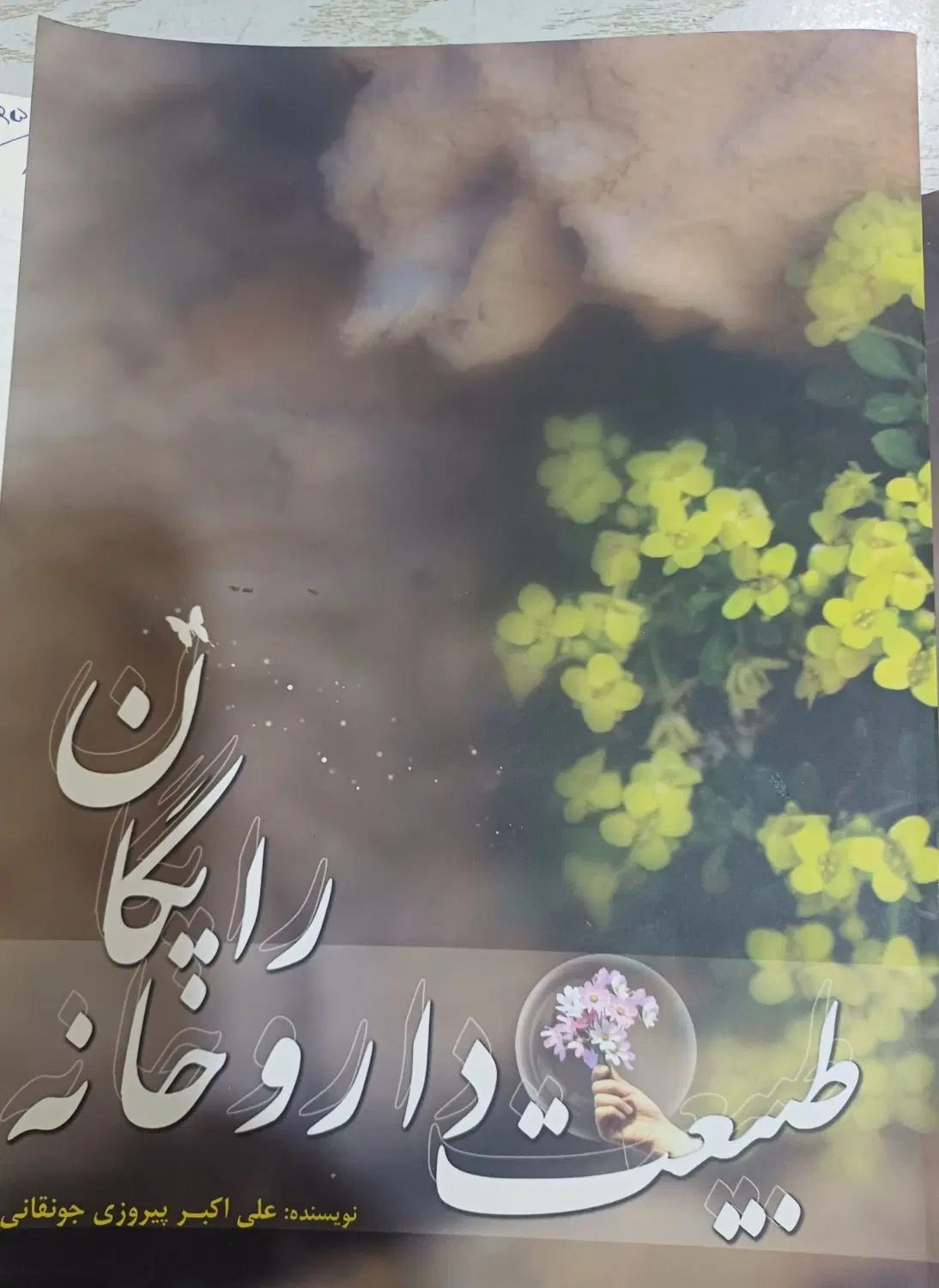 کتاب شیوه استفاده از گیاهان دارویی درمنزل